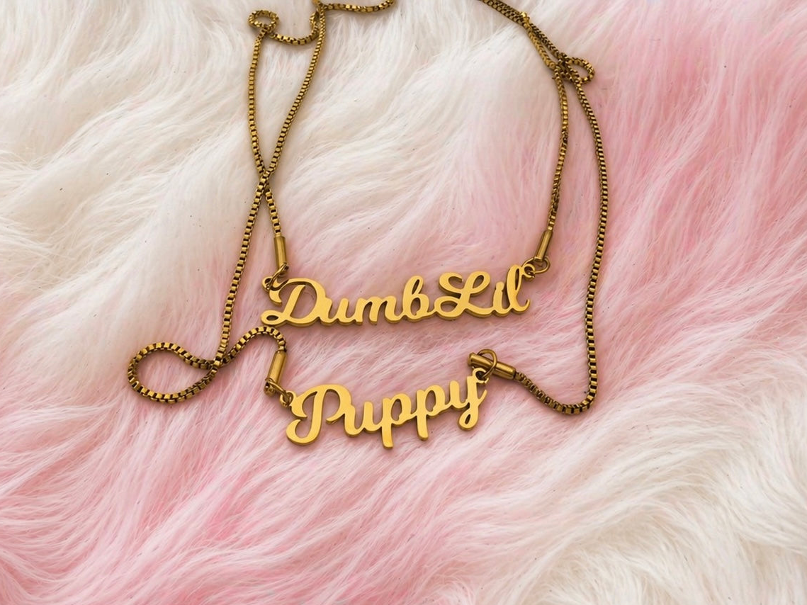 DUMB LIL PUPPY Double Chain